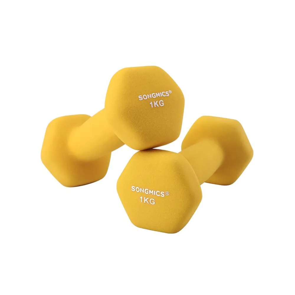 2 Haltères 1 kg-SONGMICS HOME Sale