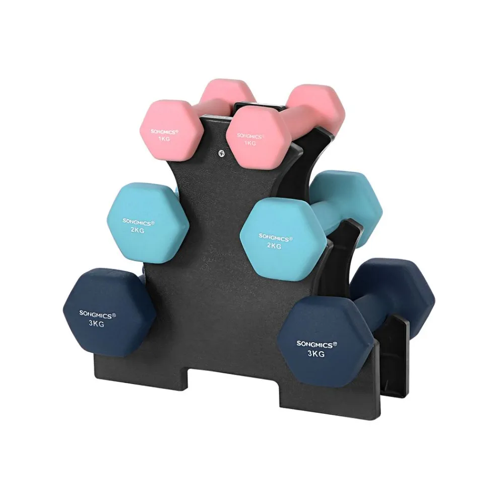 6 Haltères vert turquoise gris-SONGMICS HOME Clearance